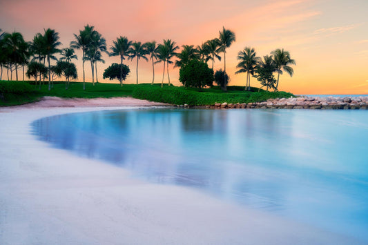 Framed - Sweet Serene By Dennis Frates