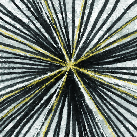 Framed Small - Black & Gold Spinning By Linda Woods