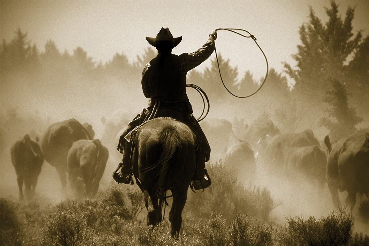 Framed Small - Rope And Ride By Danita Delimont