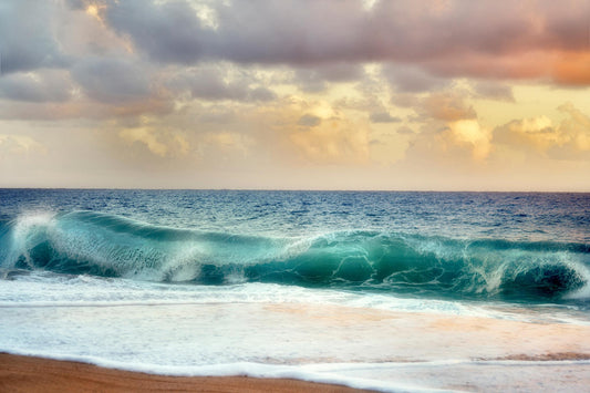 Framed - For Teal By Dennis Frates