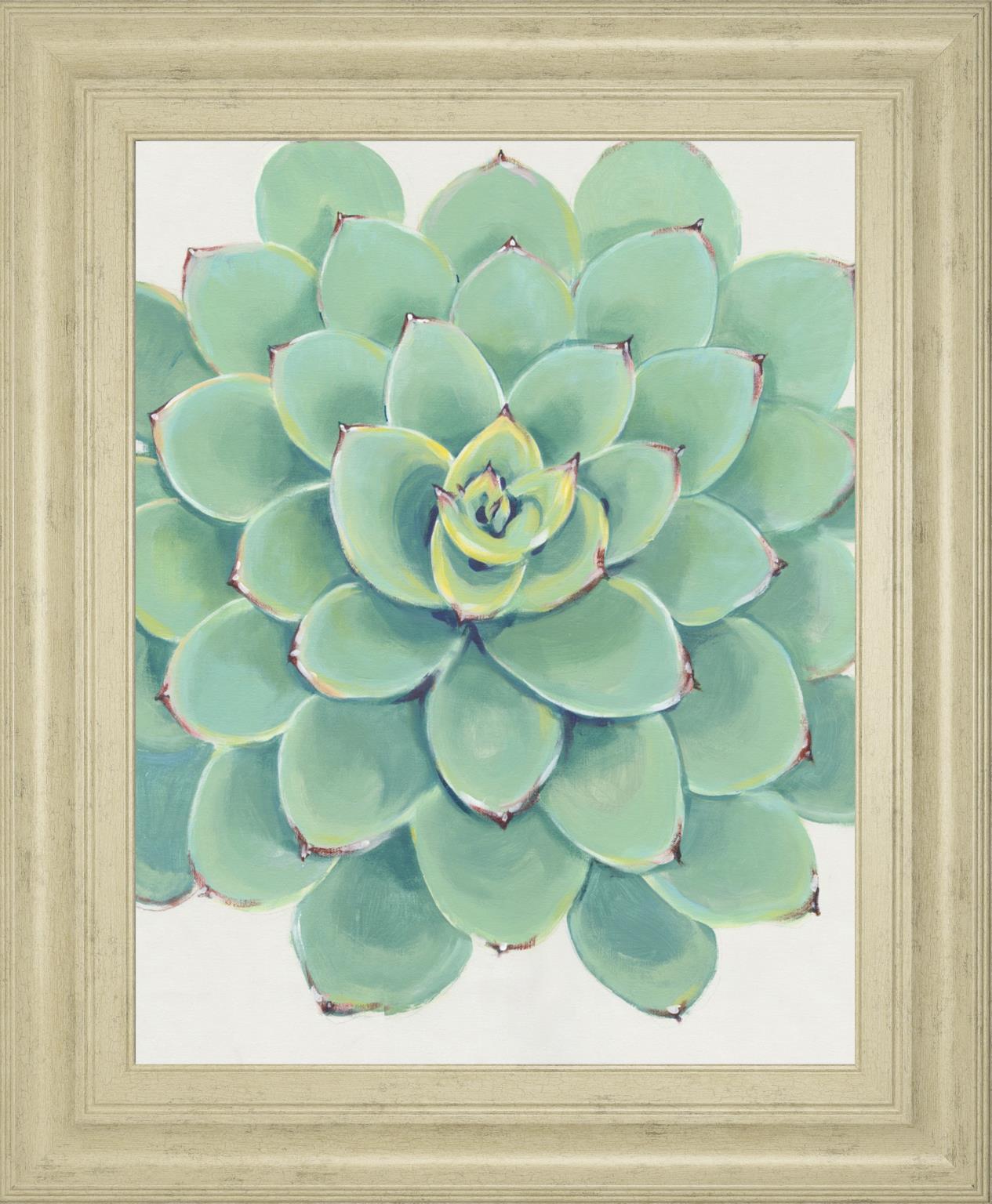 Pastel Succulent III By Tim OToole 22x26 - Green