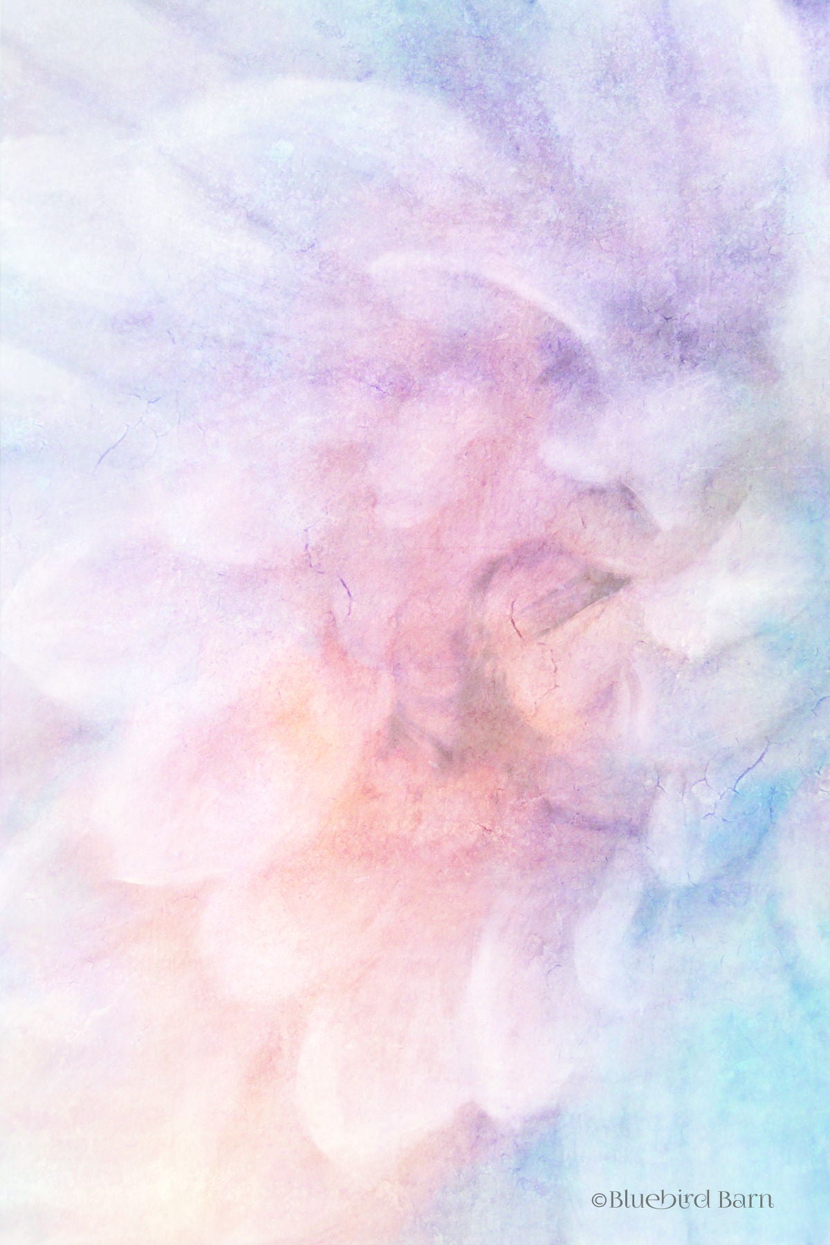 Framed Small - Soft Dahlia Pastel Blue Lilac By Bluebird Barn