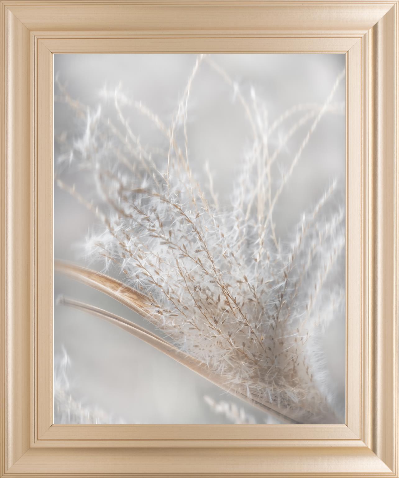 Summer Wisps II By Irene Weisz 22x26 - Pearl Silver