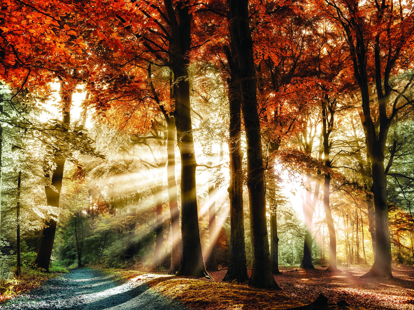 Framed - Dreaming In By Lars Van De Goor