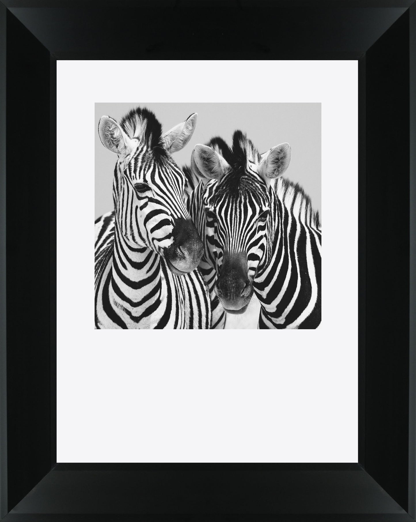 Namibia Zebra By Nina Papiorek - Framed Print Wall Art