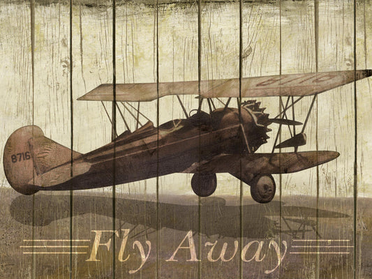 Framed - Fly Away By Merri Pattinian