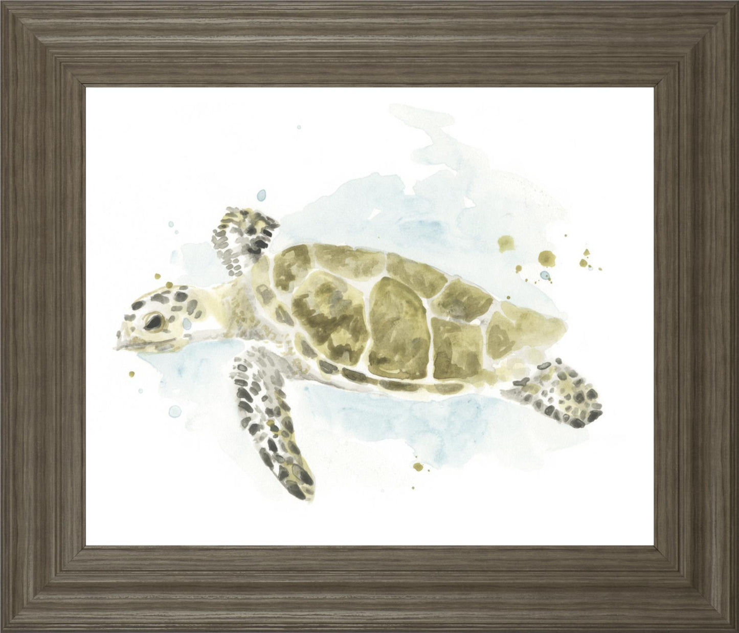 Watercolor Sea Turtle Study II By June Erica Vess 22x26 - Dark Green