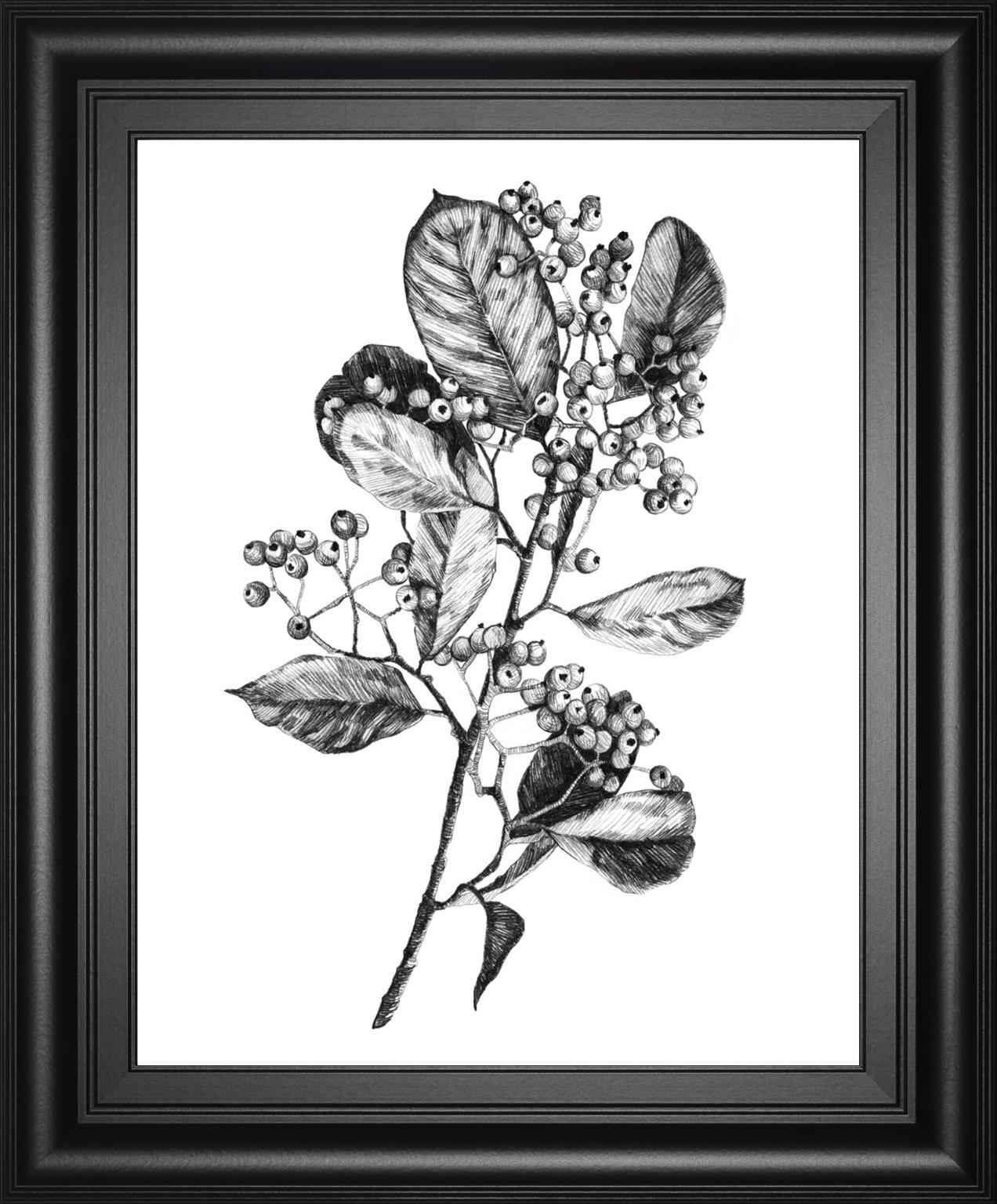 Hawthorn Berry Branch I By Emma Scarvey 22x26 - Black