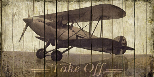 Take Off By Merri Pattinian