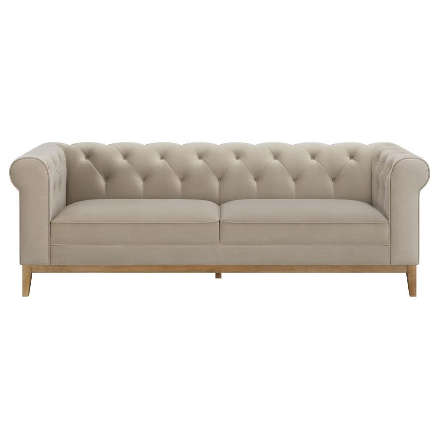 Sandrine - 2 Piece Set (Sofa And Loveseat) - Beige