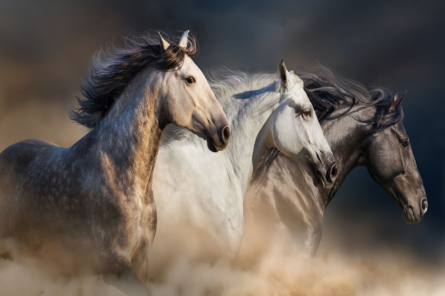 Temp Glass With Foil - 3 Horse