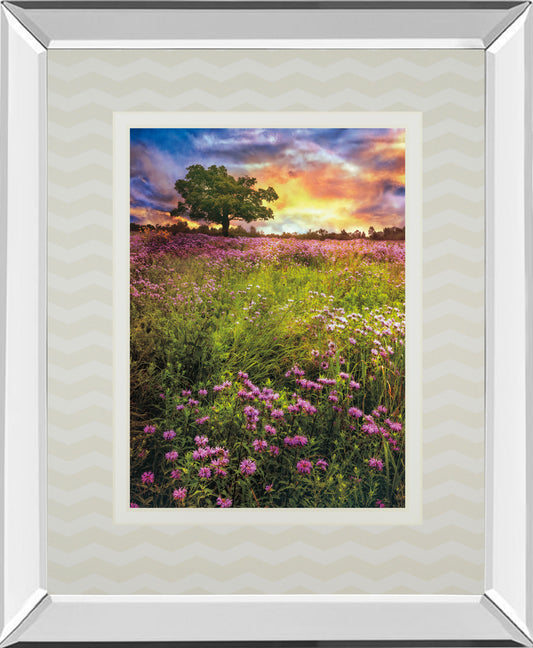 Summer Meadows By Celebrate Life Gallery Mirrored Frame