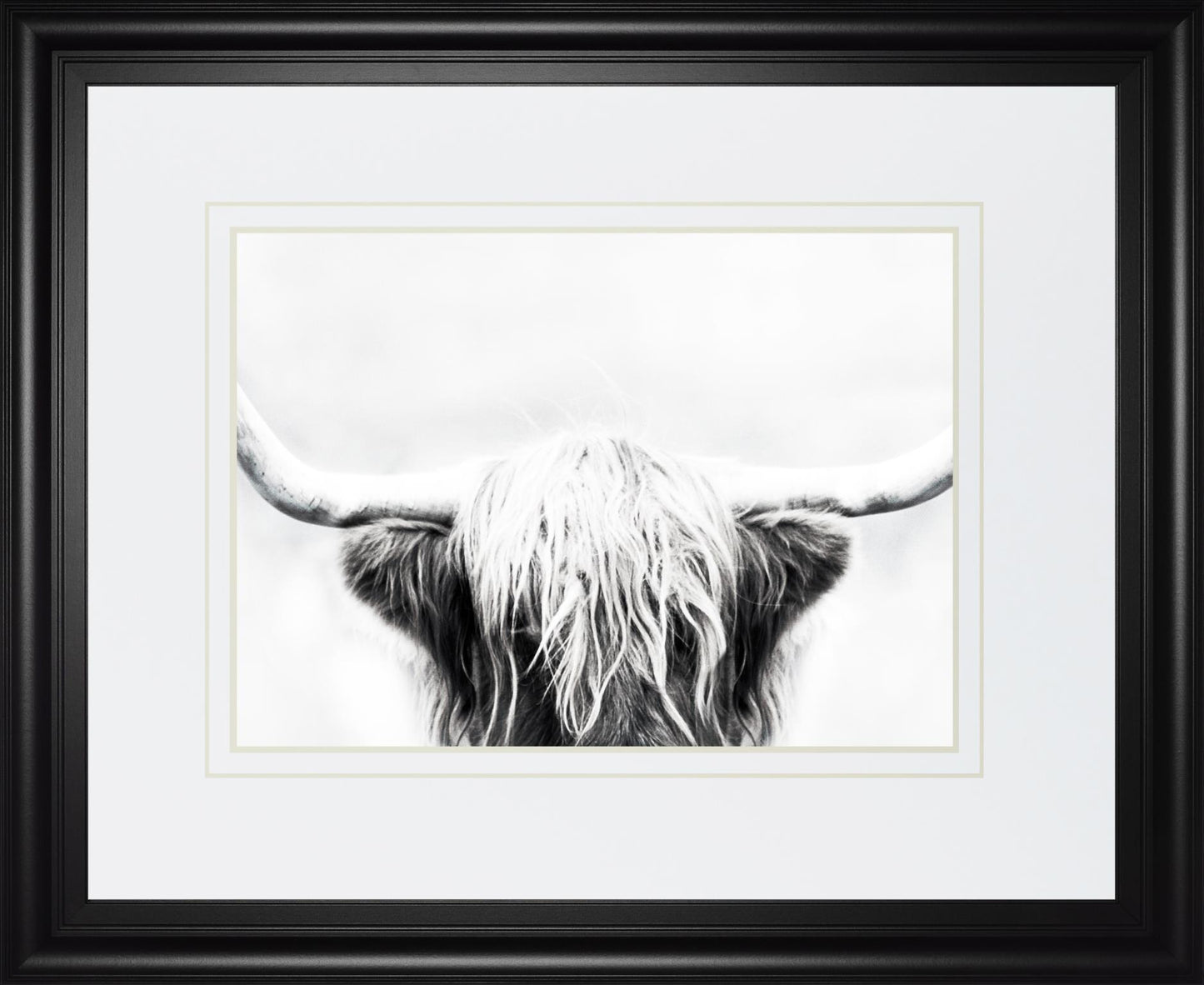 Longhorn By Danita Delimont 34x40 - Dark Gray
