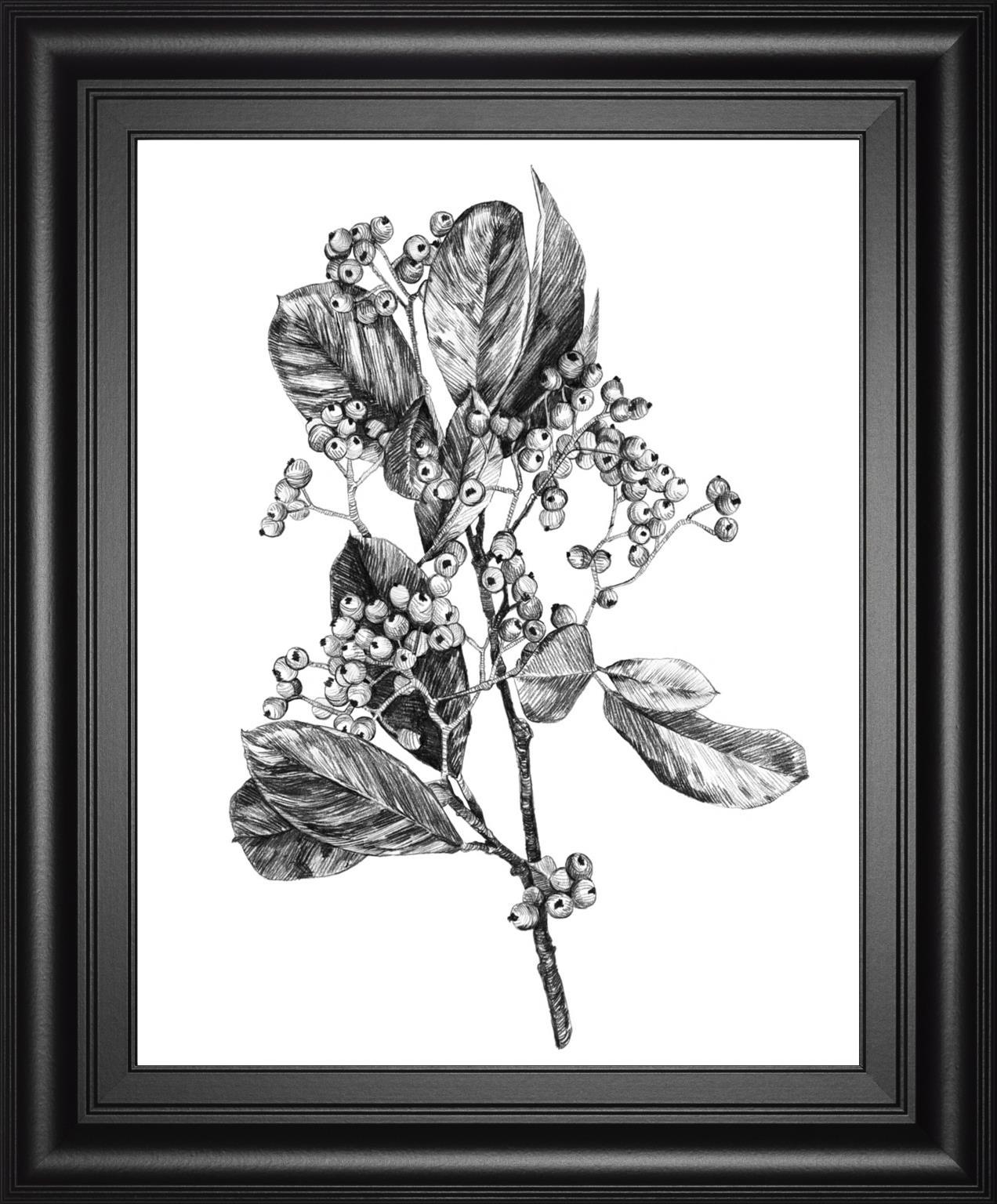 Hawthorn Berry Branch II By Emma Scarvey 22x26 - Black