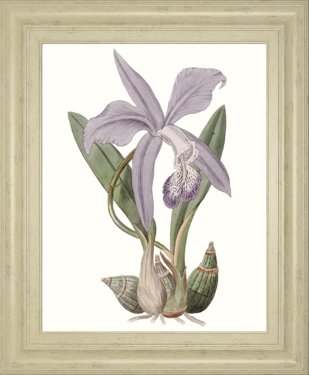 Lavender Beauties IV By Edwards 22x26 - Purple