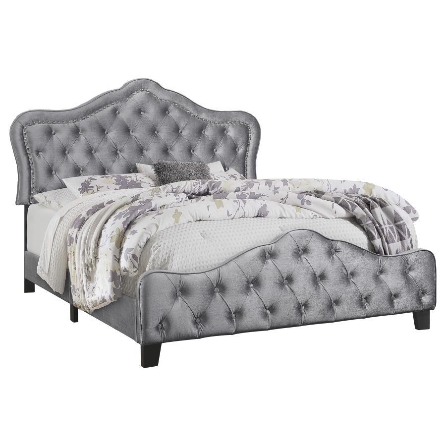 Coaster - Silver Gray Bed