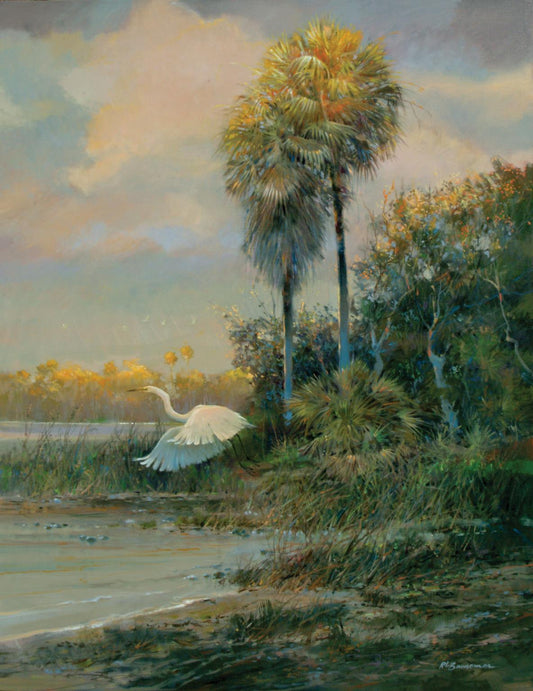 Framed - Last Light By Roger Bansemer