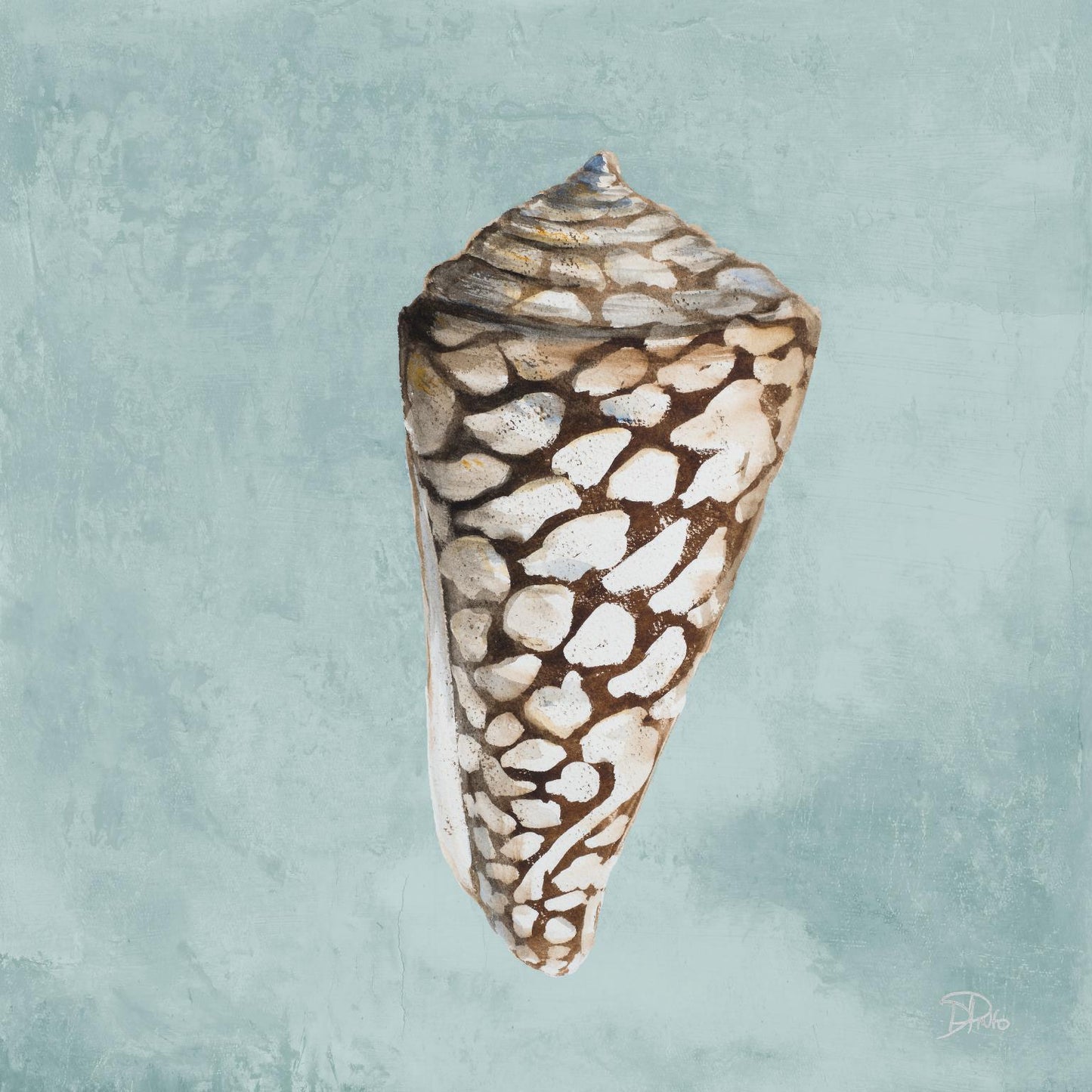 Small - Modern Shell On Teal II By Patricia Pinto