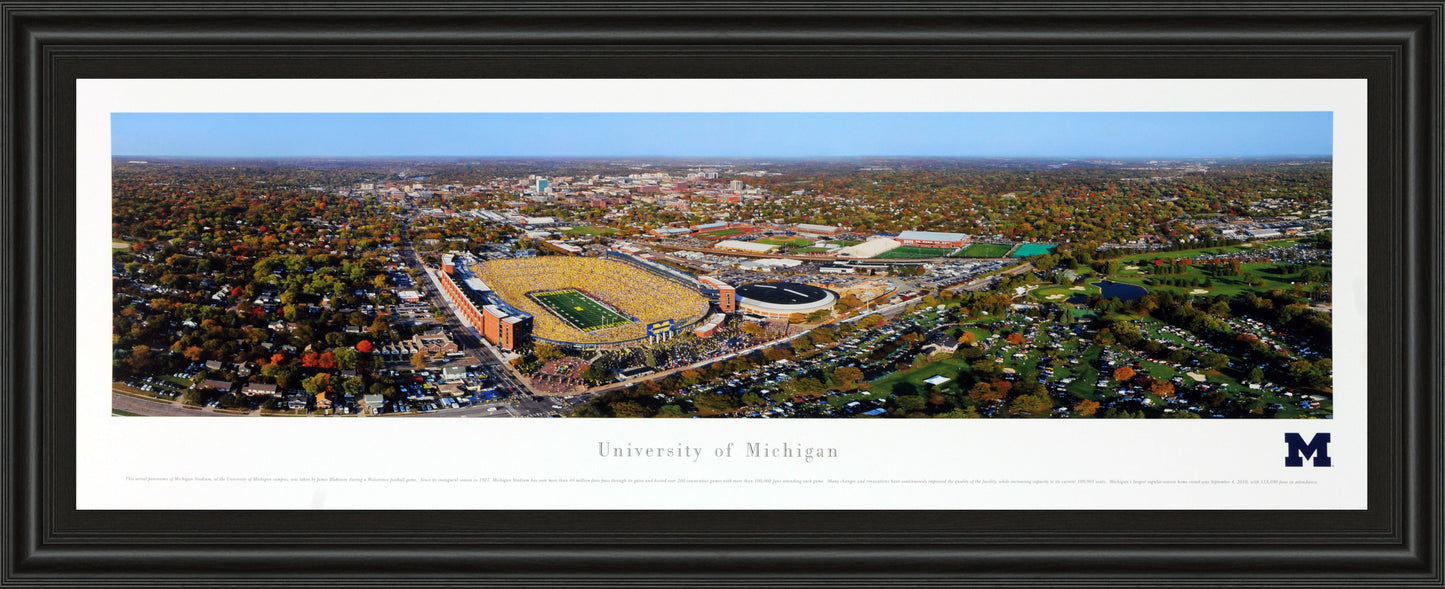 University Of Michigan #3 (aerial)