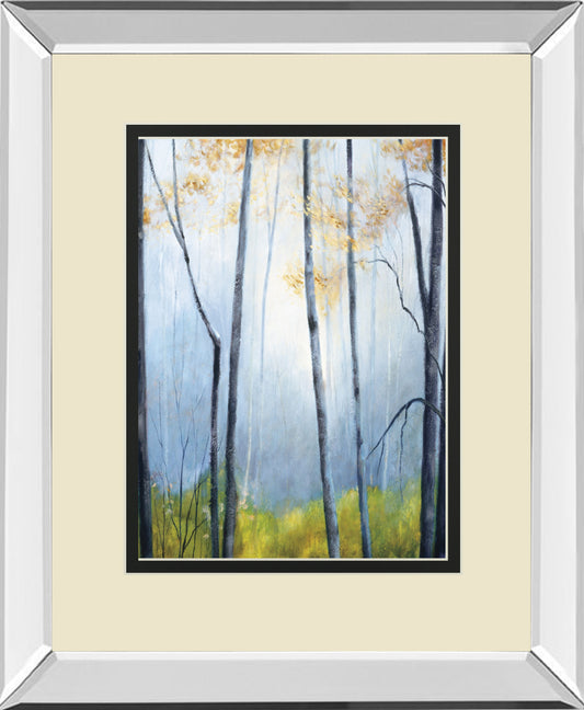 Tranquil River By Striffolino R. Mirrored Frame