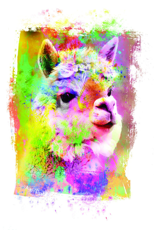 Framed - Rainbow Llama II By Jg Studios