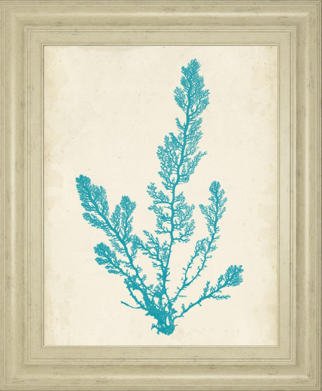 Aquamarine Seaweed VI By Vision Studio 22x26 - Light Blue