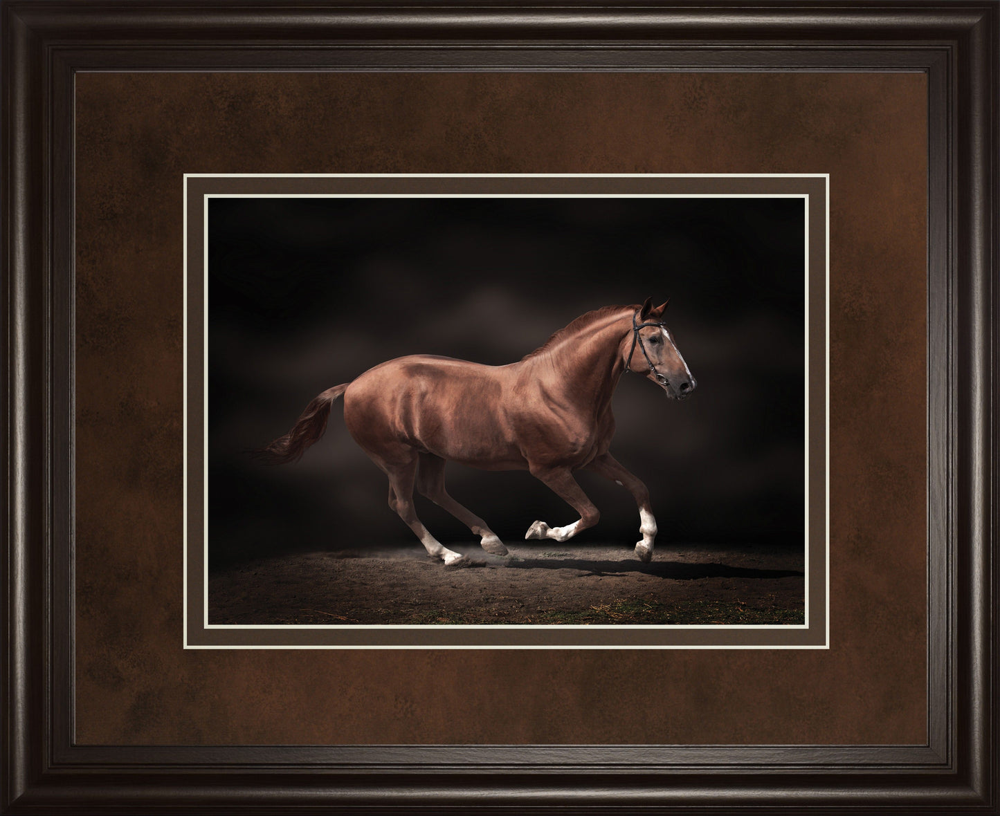 Stallion On Black By Edoma Photo - Framed Print Wall Art - Dark Brown