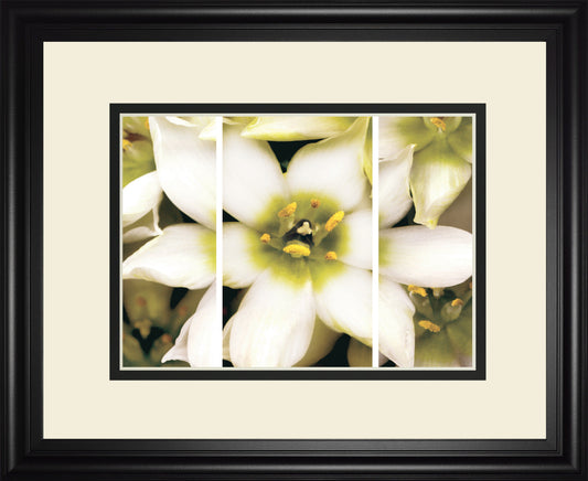 Star Of Bethlehem Triptych By Levine A.