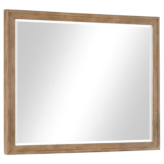 Taylor - Rectangular Dresser Mirror Light - Honey Brown