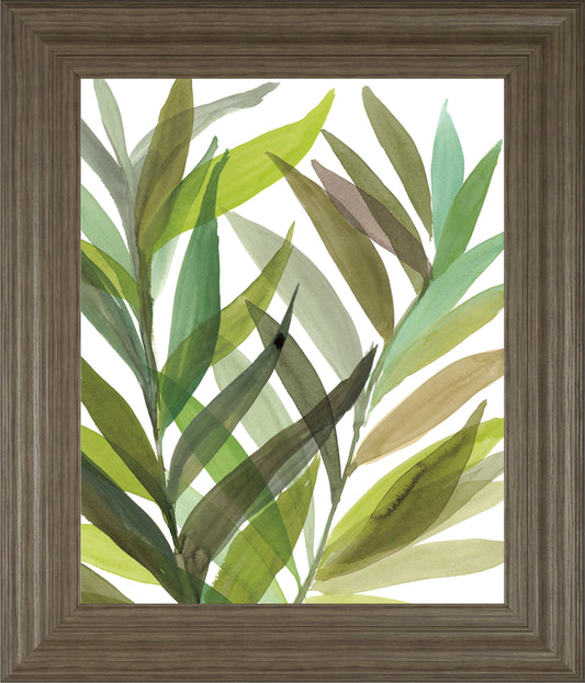 Tropical Greens I By Rebecca Meyers - Framed Print Wall Art - Green