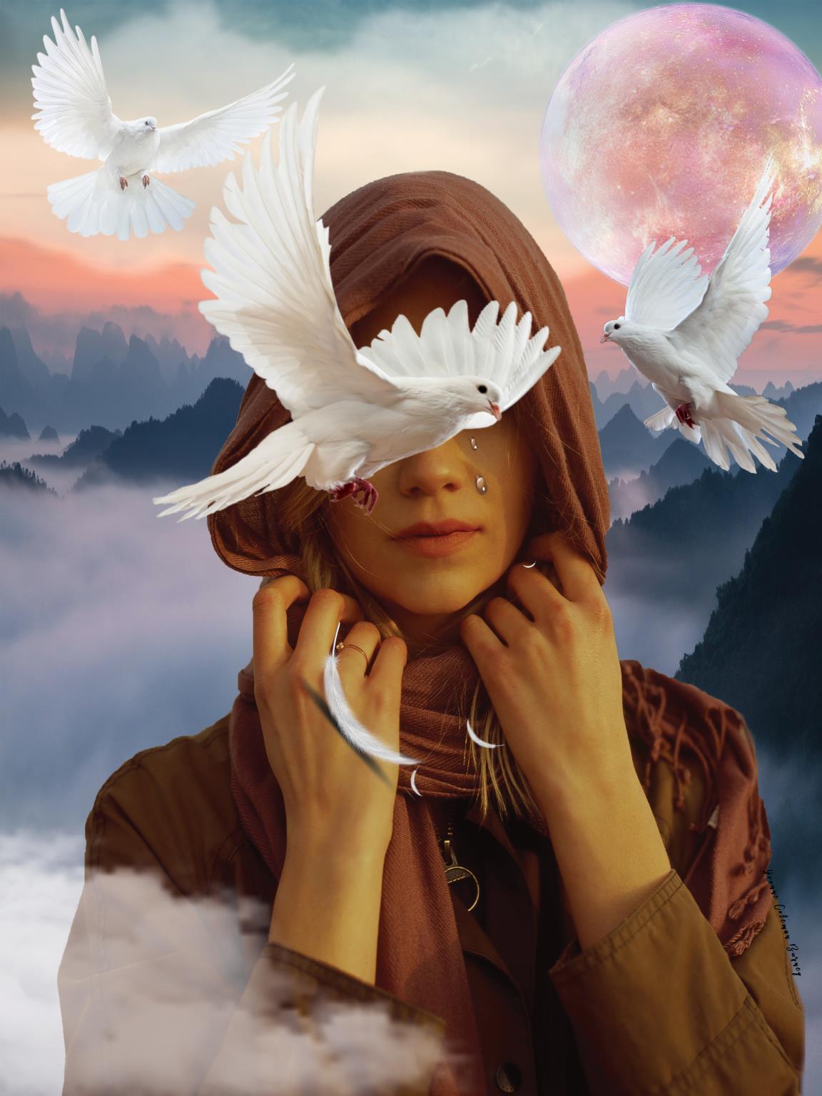 Framed - When Doves Cry By Yvonne Coleman Burney