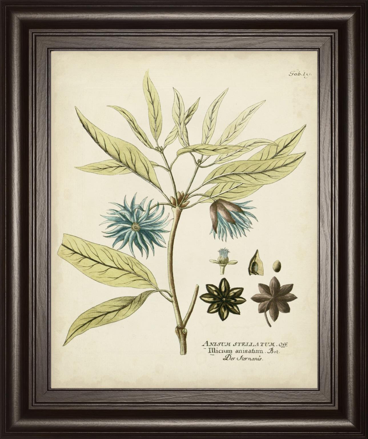Eloquent Botanical III By Vision Studio 22x26 - Green