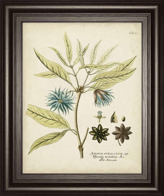 Eloquent Botanical III By Vision Studio 22x26 - Green