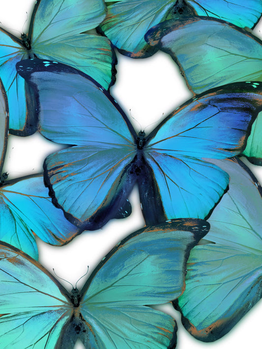 Floating Tempered Glass With Foil Oh These Butterflies 60 X 40