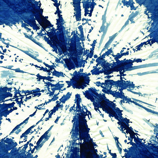 Framed - Shibori Circle By Carol Robinson