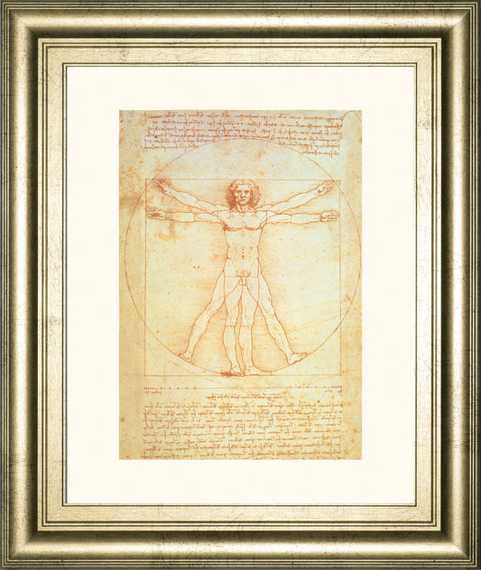 Vituvian Man By Leonardo Da Vinci - Framed Print Wall Art