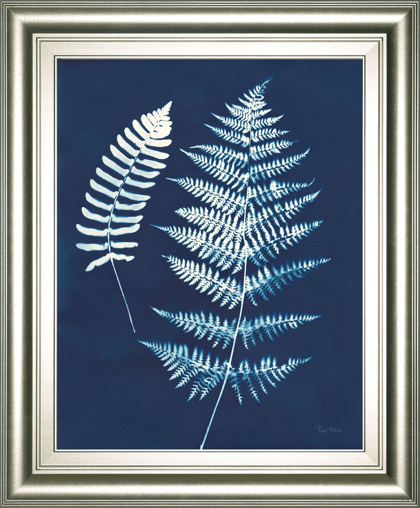 Nature By The Lake Ferns V By Piper Rhue - Framed Print Wall Art