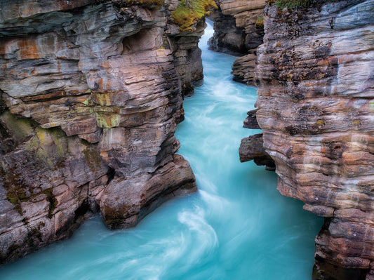 Framed - Aqua Velvet By Dennis Frates