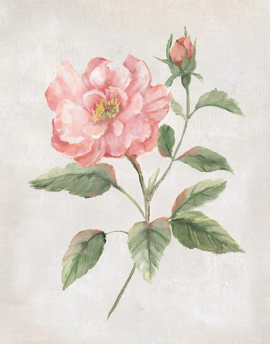 Framed - Grandiflora II By Nan