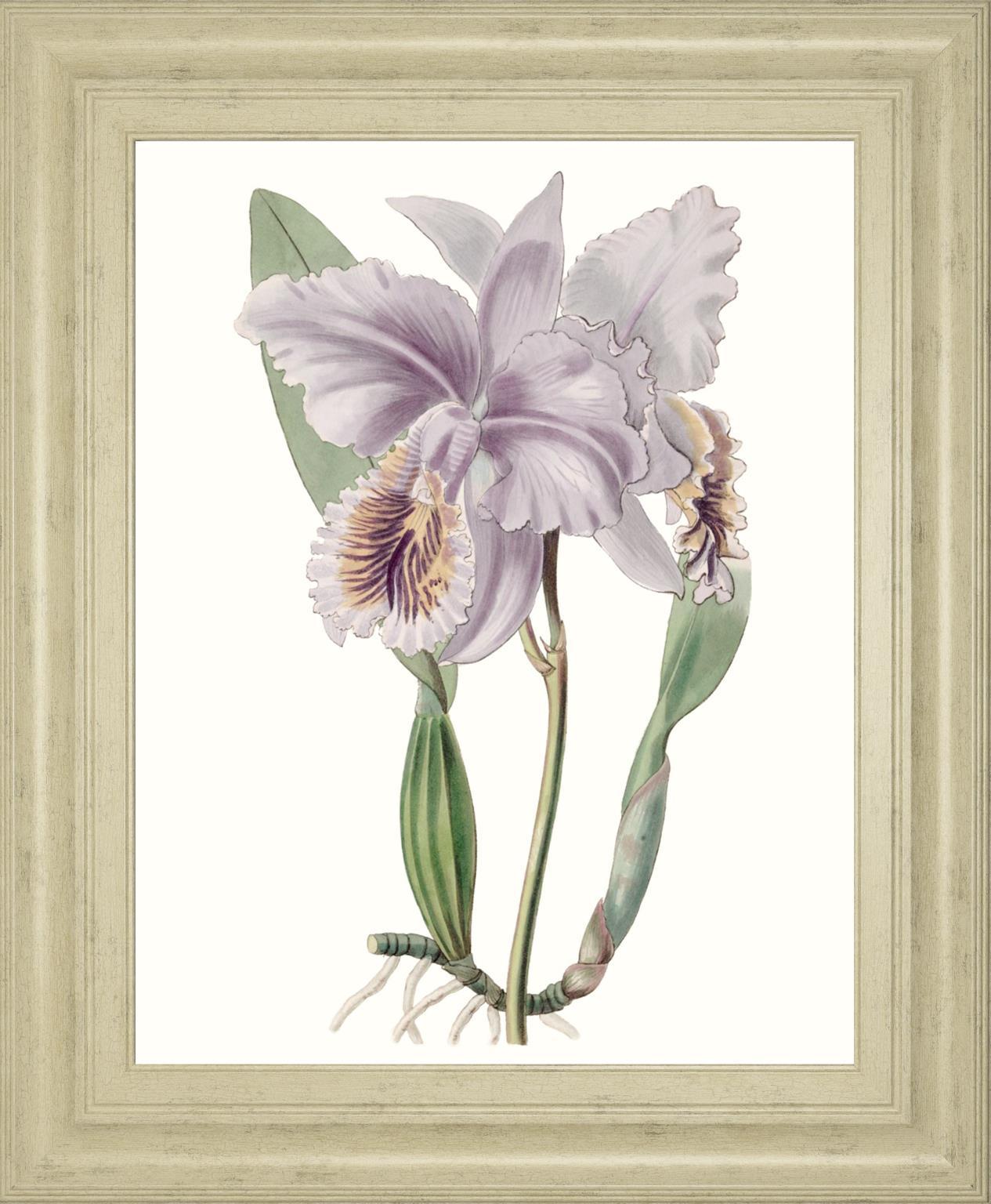 Lavender Beauties II By Edwards 22x26 - Purple
