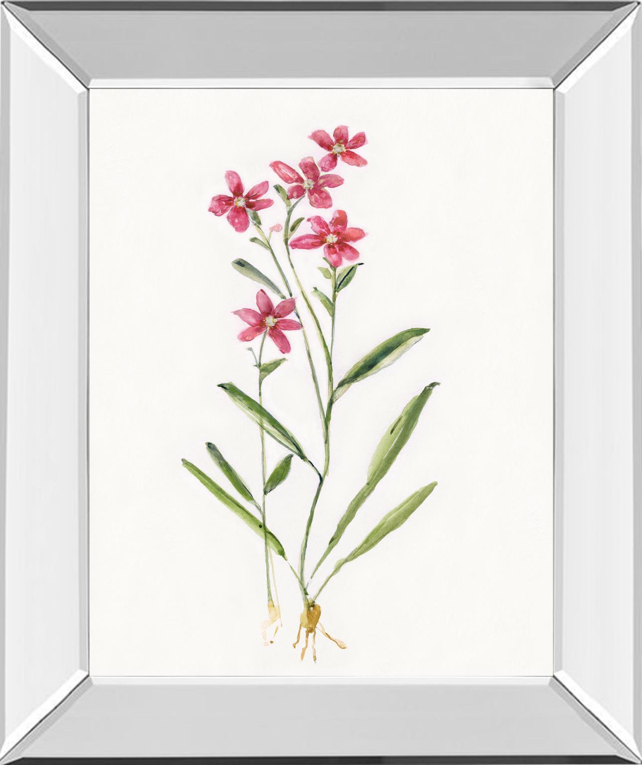 Delicate Pink II By Sally Swatland - Red