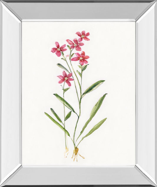 Delicate Pink II By Sally Swatland - Red