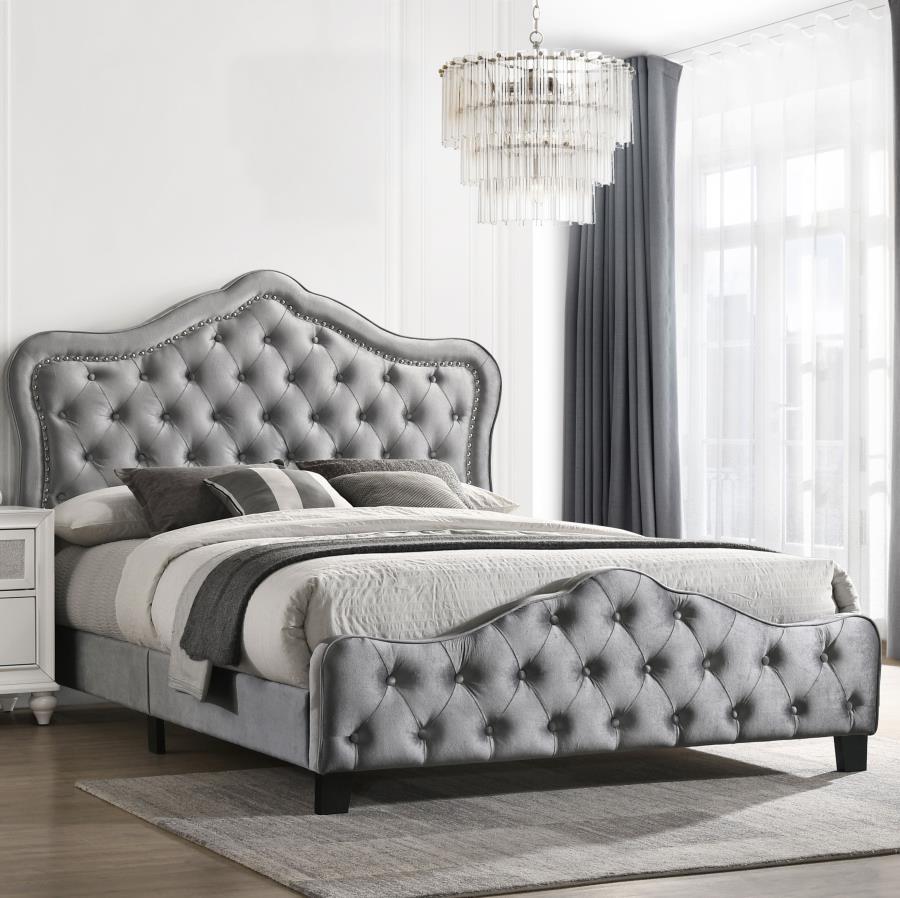 Coaster - Silver Gray Bed