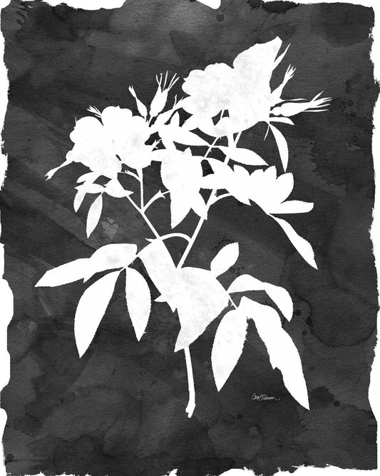 Small - Black Botanical I By Carol Robinson