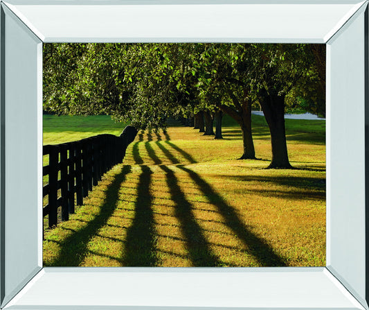 Chasing Shadows By Mike Jones Mirror Framed Print Wall Art - Green