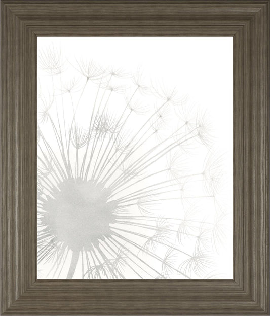 Dandelion Whisper I By Grace Popp 22x26 - Pearl Silver