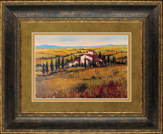 Tuscany III By Tim O'Toole - Framed Print Wall Art