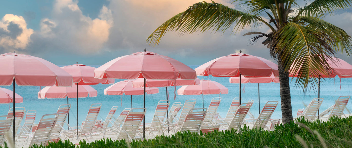 Small - Umbrellas By Dennis Frates