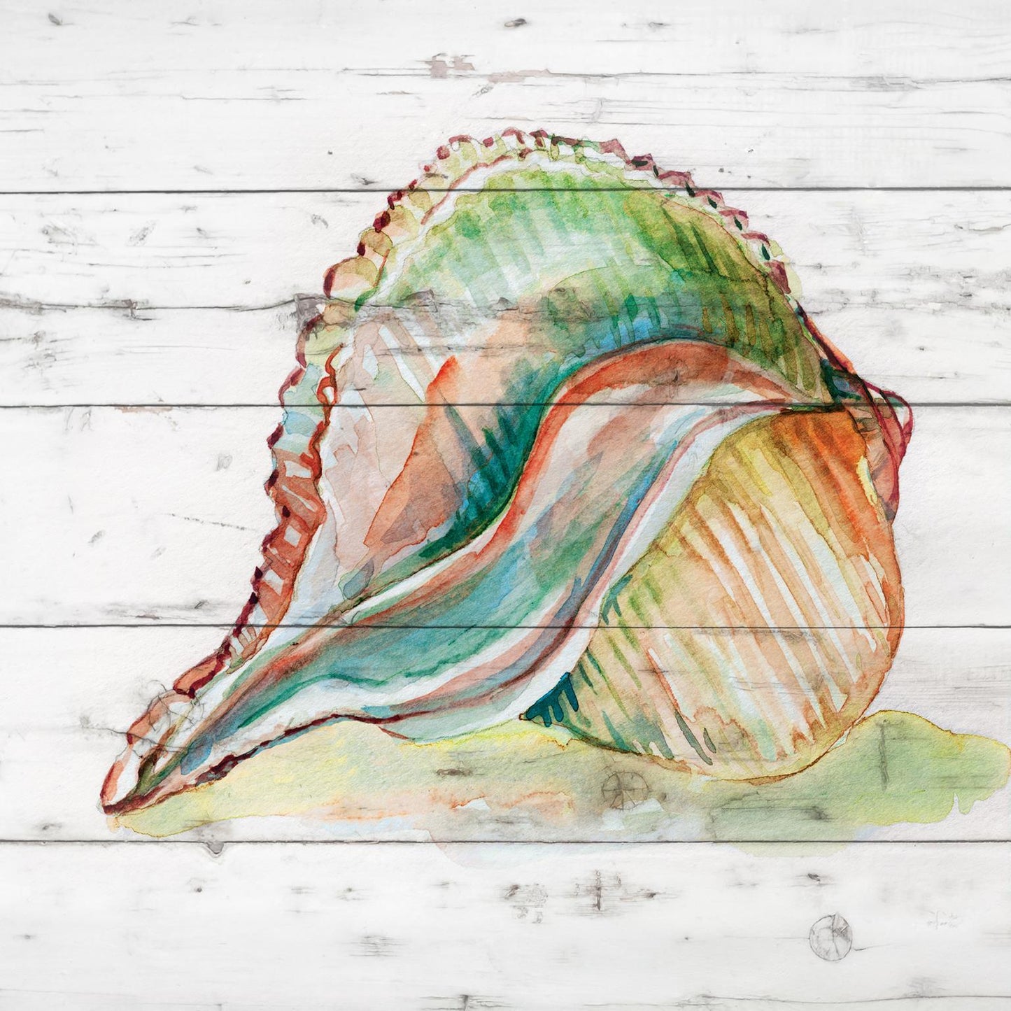 Small - Tye Dyed Shell II By Carol Robinson