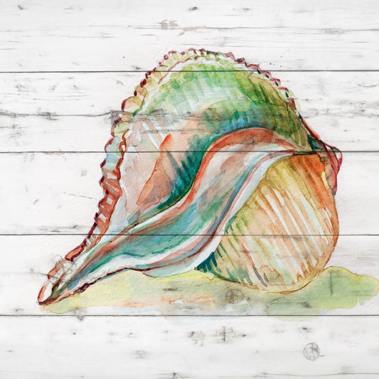 Tye Dyed Shell II By Carol Robinson - Silver